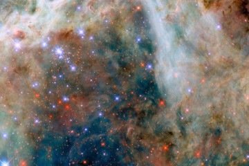 A Nasa também compartilhou um registro da Nebulosa da Tarântula, localizada na galáxia Grande Nuvem de Magalhães -  (crédito: ESA/Hubble & NASA, C. Murray)
