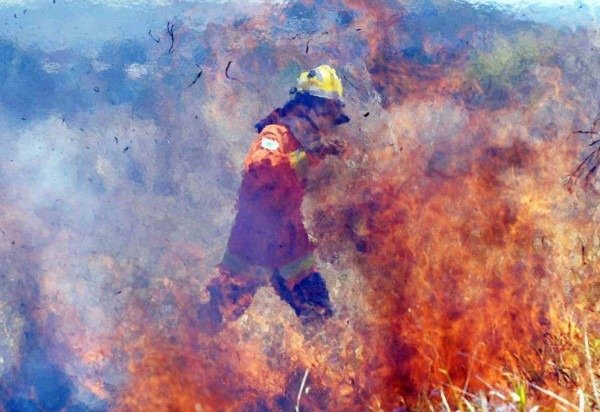 Ed Alves/CB/D.A Press