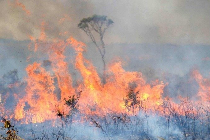 Devido à sua vegetação, o Cerrado é propenso a sofrer queimadas naturais - (crédito: Ed Alves/CB) Devido à sua vegetação, o Cerrado é propenso a sofrer queimadas naturais - (crédito: Ed Alves/CB)