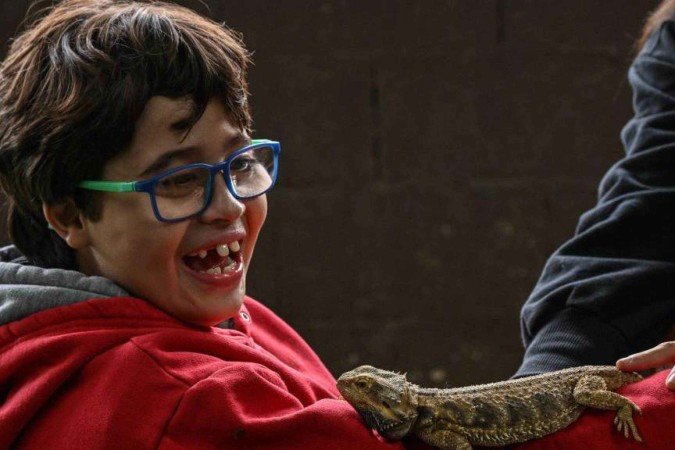 13 revelações do Censo inédito sobre autistas e pessoas com deficiência no Brasil - (crédito: BBC) 13 revelações do Censo inédito sobre autistas e pessoas com deficiência no Brasil - (crédito: BBC)