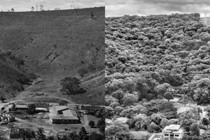 Reserva Particular do Patrimônio Natural (RPPN)criada por Sebastião Salgado e Lélia Wanick - (crédito: Sebastião Salgado) Reserva Particular do Patrimônio Natural (RPPN)criada por Sebastião Salgado e Lélia Wanick - (crédito: Sebastião Salgado)