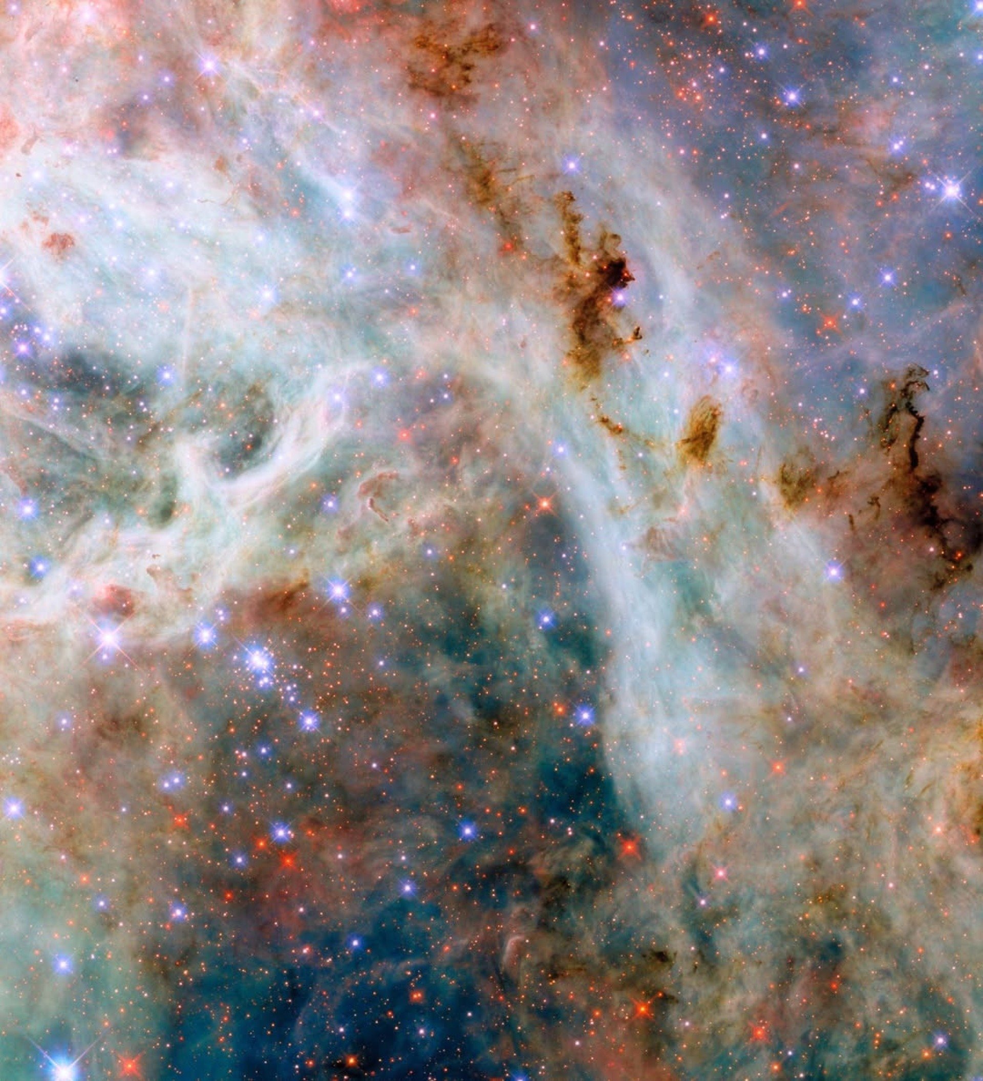 Nebulosa da Tarântula
