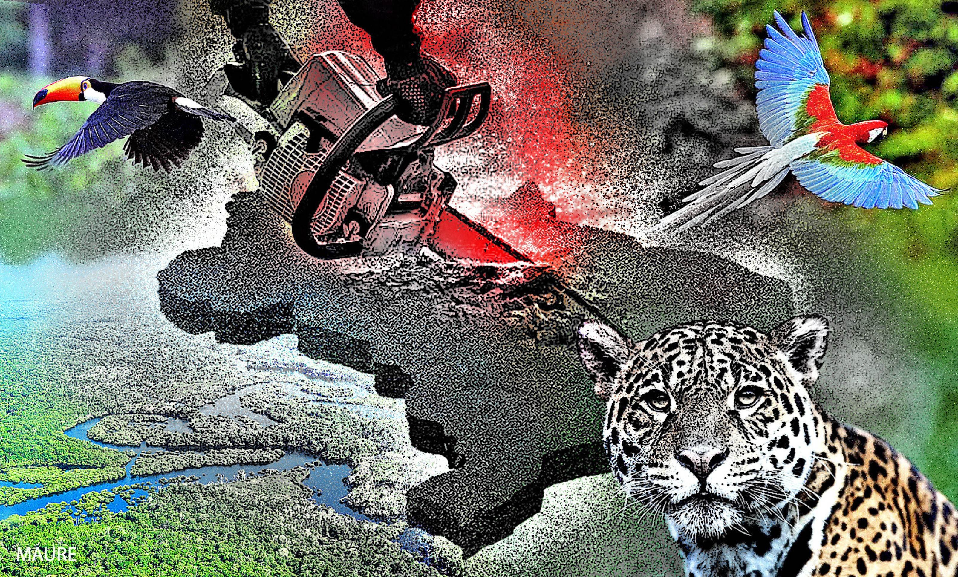 Licenciamento ambiental à deriva