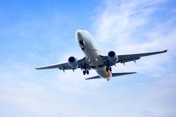 Segundo a defesa da ageira, ao negar o transporte do animal na cabine da aeronave, a TAP sugeriu que o cão fosse levado no bagageiro -  (crédito: Reprodução/Freepik)