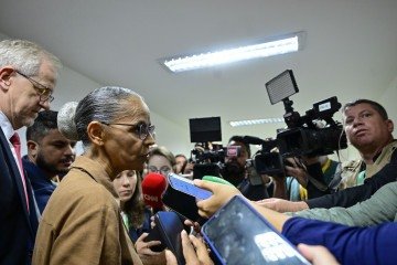 Ministra pediu uma nova audiência para garantir transparência e participação ampla da sociedade civil, do setor produtivo, da comunidade científica e de órgãos federais -  (crédito:  Geraldo Magela/Agência Senado)