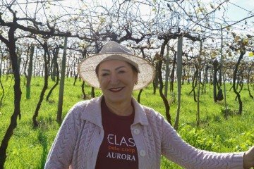 Ivone Ribolde Bellé, cooperada da Cooperativa Vinícola Aurora, que teve as parreiras destruiídas com a enchente em 2024. Na foto, ela está visitando uma outra propriedade.