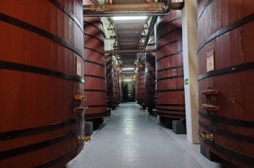 na matriz da Cooperativa Vinícola Aurora, em Bento Gonçalves