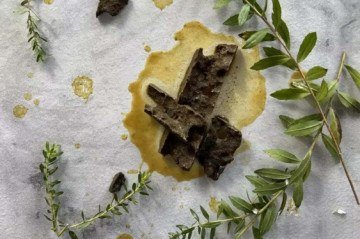 Própolis verde e a planta que fornece seus ativos, alecrim-do-campo