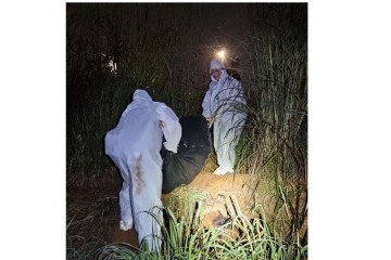 Crime ocorreu em fevereiro, no Itapoã -  (crédito: Material cedido ao Correio)