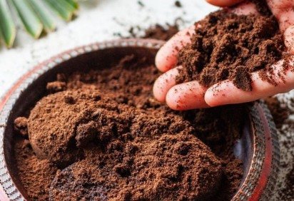 Setor de café do Brasil amarga retração de mais de 50% nas exportações para os EUA e pede pressa nas negociações para redução de taxas -  (crédito: Fotos: Reprodução/Pinterest) -Setor de café do Brasil amarga retração de mais de 50% nas exportações para os EUA e pede pressa nas negociações para redução de taxas -  (crédito: Fotos: Reprodução/Pinterest)