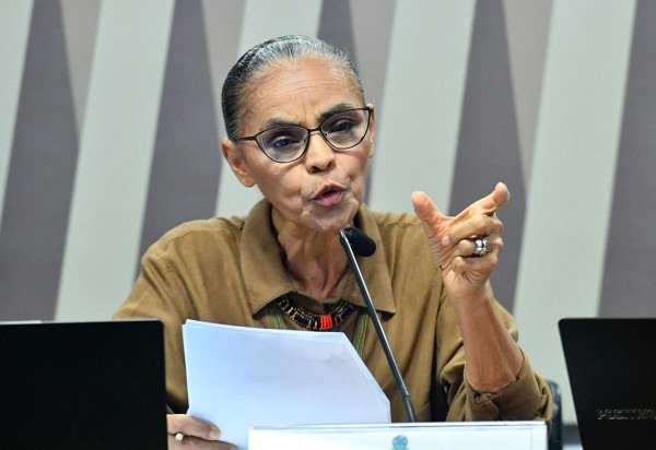 Ministra participou de audiência em comissão do Senado. -  (crédito:  Geraldo Magela/Agência Senado)