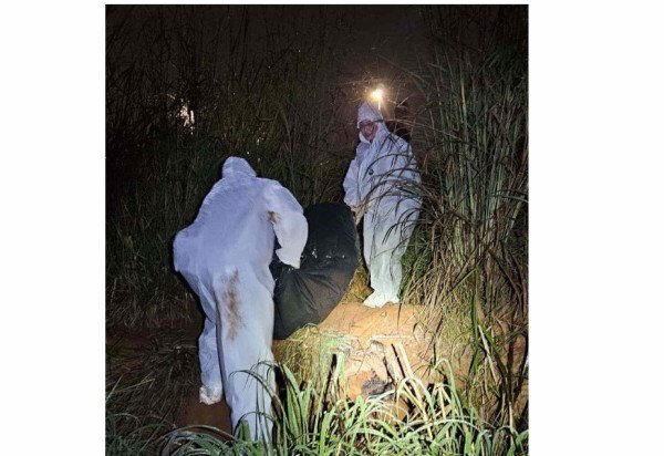 Crime ocorreu em fevereiro, no Itapoã -  (crédito: Material cedido ao Correio)