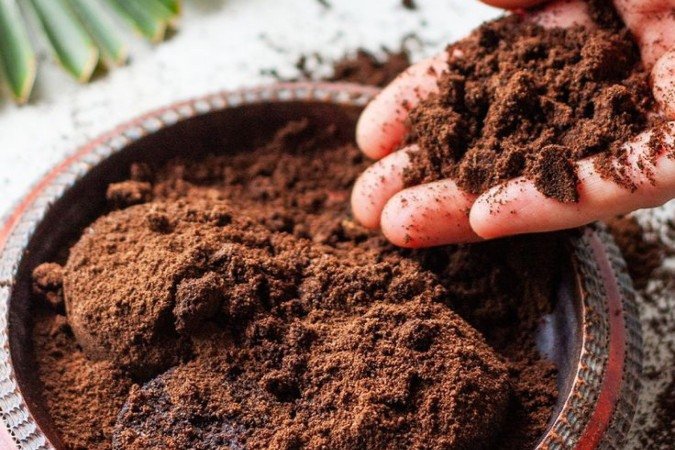 Setor de café do Brasil amarga retração de mais de 50% nas exportações para os EUA e pede pressa nas negociações para redução de taxas - (crédito: Fotos: Reprodução/Pinterest) Setor de café do Brasil amarga retração de mais de 50% nas exportações para os EUA e pede pressa nas negociações para redução de taxas - (crédito: Fotos: Reprodução/Pinterest)