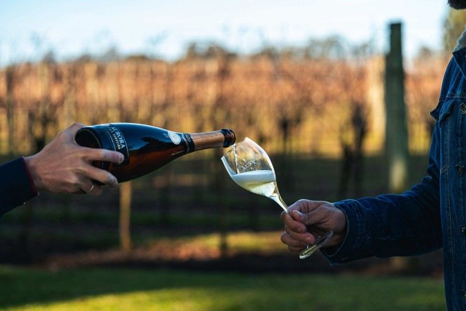 Aurora Extra Brut do Altos de Pinto Bandeira, Cooperativa Vinícola Aurora - (crédito: Anderson Pagani) Aurora Extra Brut do Altos de Pinto Bandeira, Cooperativa Vinícola Aurora - (crédito: Anderson Pagani)