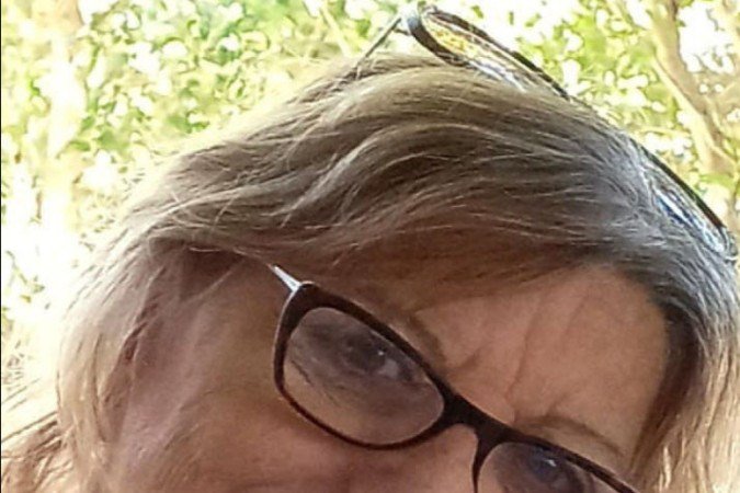  Eliana Lucena - Colunista.