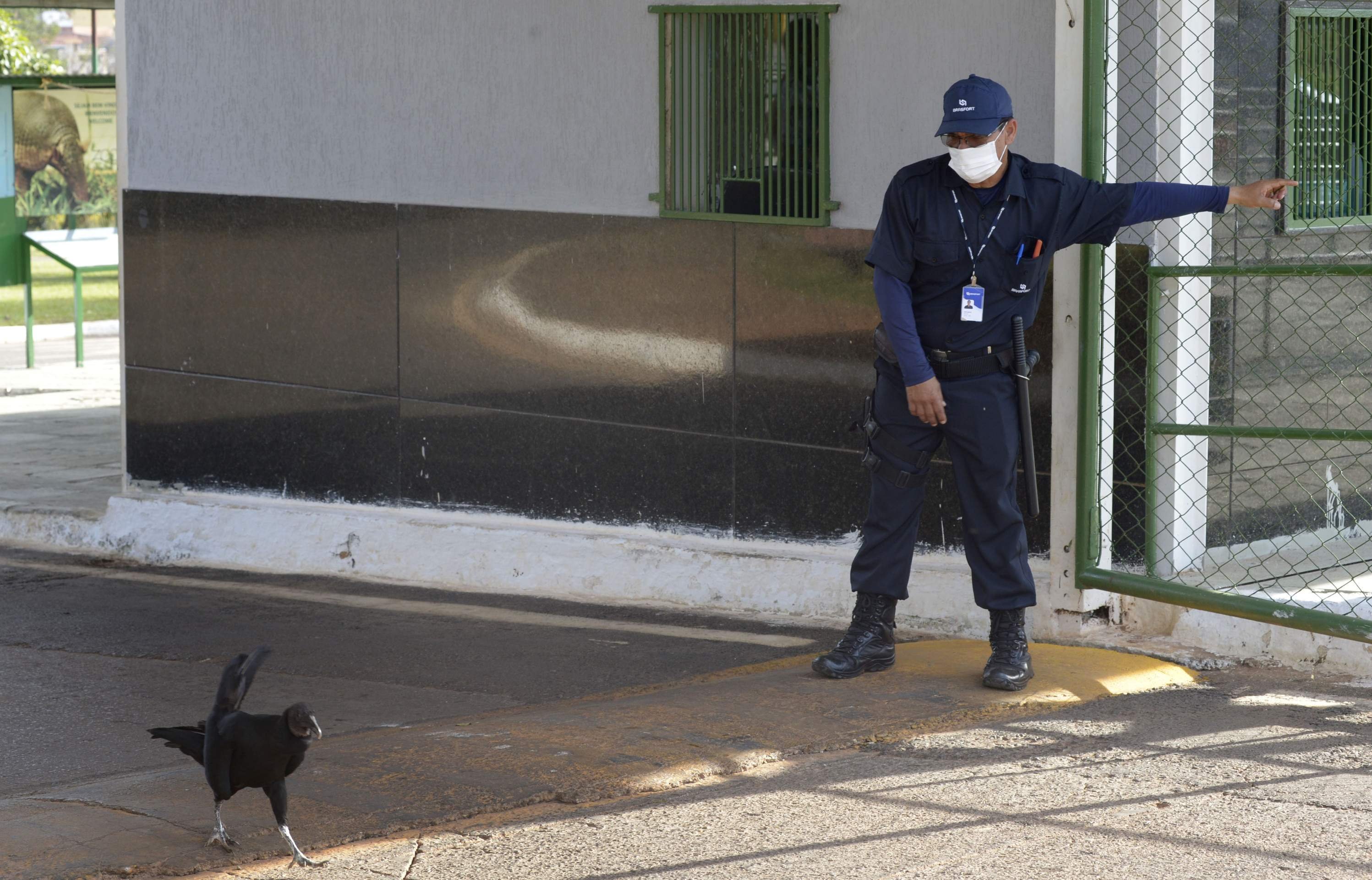 Visitantes foram retirados do zoológico na tarde de ontem e o local foi fechado por seguranças