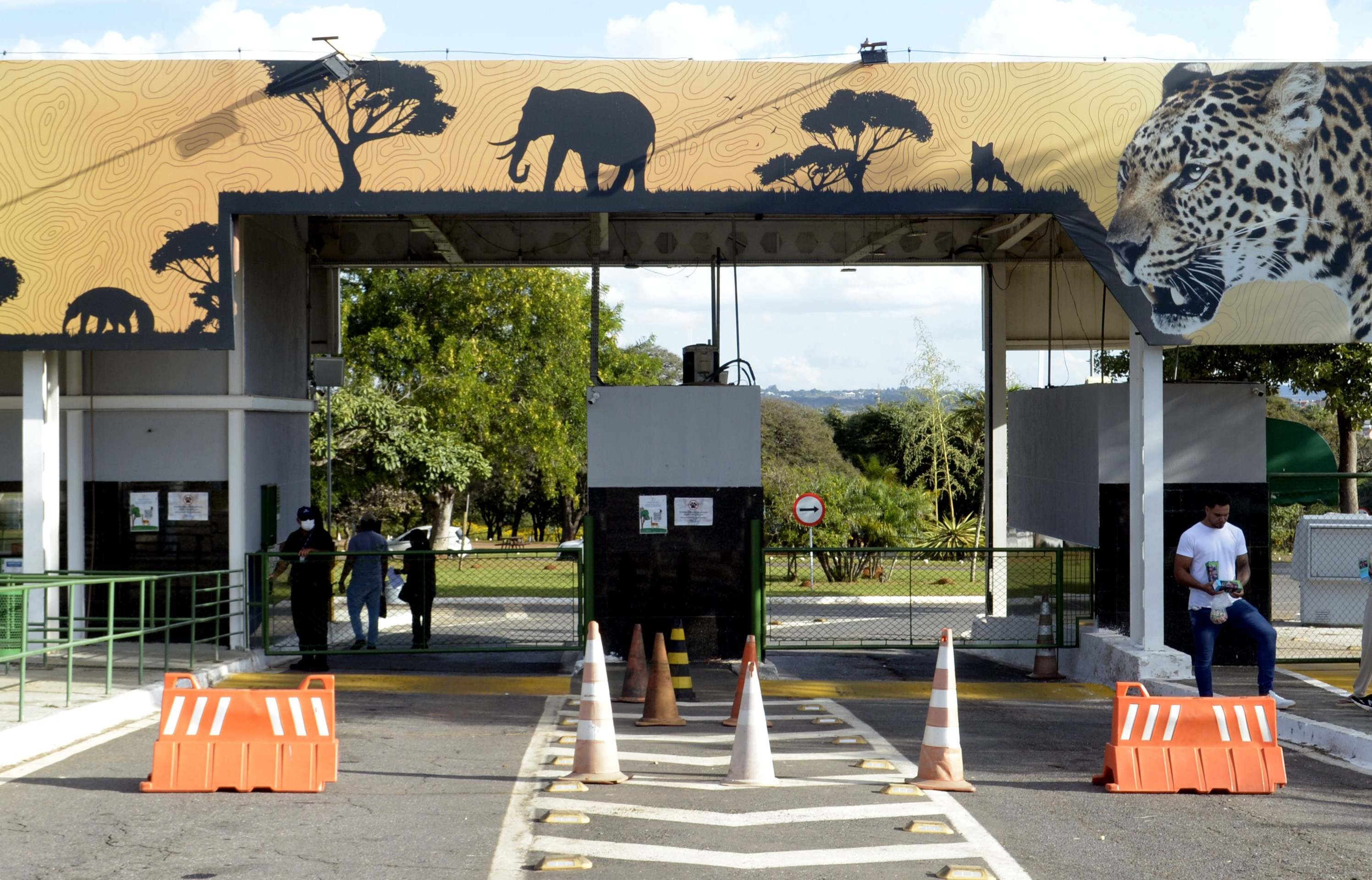 Gripe aviária: funcionários do Zoológico não apresentaram sintomas da doença