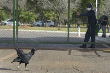 Zoológico de Brasília foi interdidato preventivamente nessa quarta-feira (28/5) -  (crédito:  Marcelo Ferreira/CB/D.A Press)