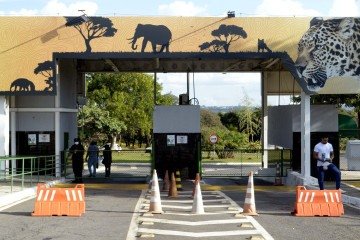 Duração do voluntariado profissional poderá ser de até 1 ano
 -  (crédito:  Marcelo Ferreira/CB/D.A Press)