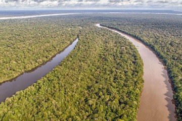 Amazônia Legal -  (crédito: Marcello Nicolato/Divulgação )