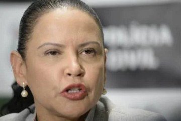 Delegada Claudia Alcantara, fala da prisão de Hugo Tacio de Oliveira, acusado de matar o chef de cozinha Jerry Omar Correia, no Sudaeste -  (crédito: Carlos Vieira/CB/D.A Press)