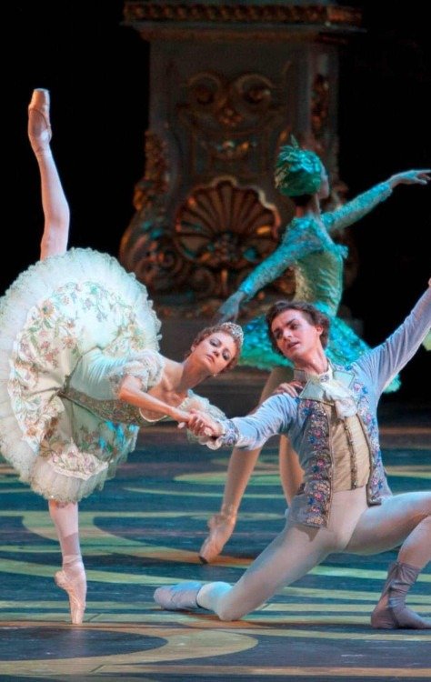 Cia. Ballet Clássico de St. Petersburg apresenta O lago dos cisnes no Centro de Convenções Ulysses -  (crédito: Divulgação)