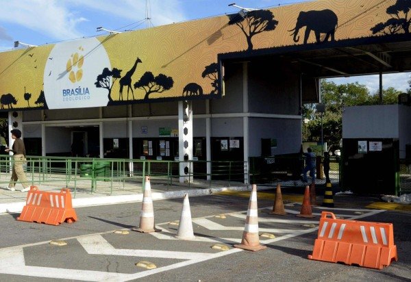 Zoológico ficará fechado temporariamente -  (crédito:  Marcelo Ferreira/CB/D.A Press)