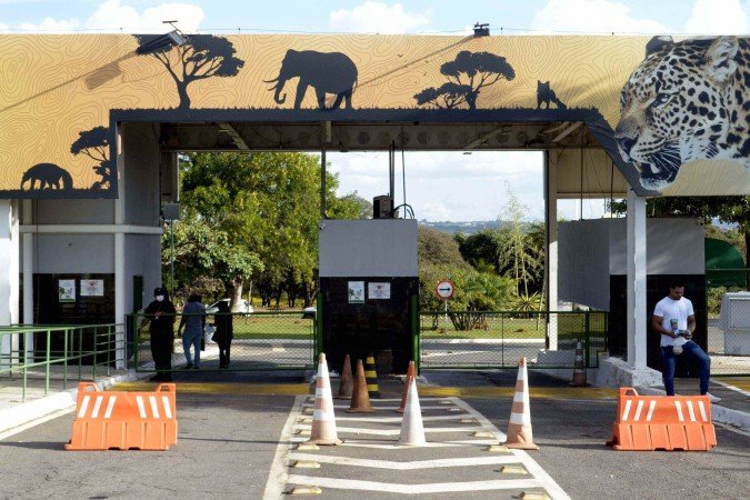 O Zoológico está interditado desde 28 de maio - (crédito: Marcelo Ferreira/CB/D.A Press) O Zoológico está interditado desde 28 de maio - (crédito: Marcelo Ferreira/CB/D.A Press)