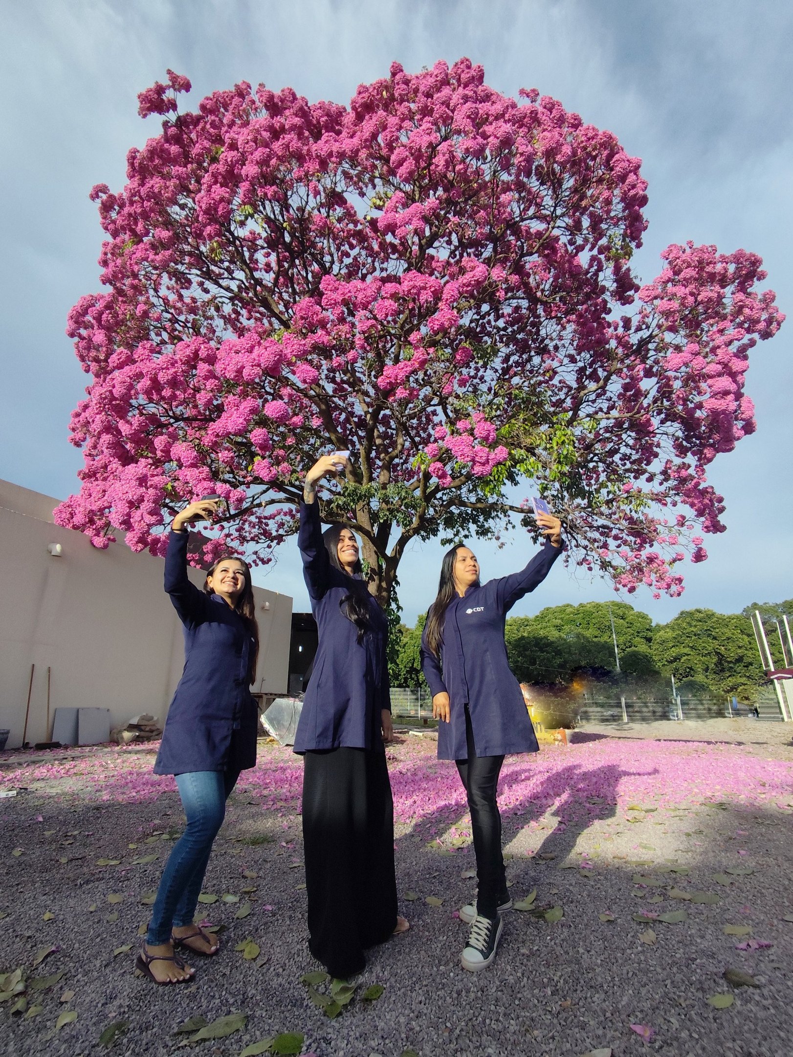 Jessica Ferreira da Silva (C), Darlene Coura (E) e Bianca Ferreira não perderam tempo e fizeram selfies com as flores   