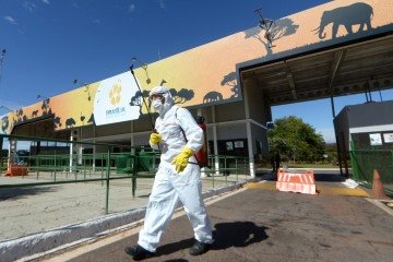 Gripe aviária: Zoo fecha os e dedetiza carros autorizados -  (crédito:  Ed Alves CB/DA Press)