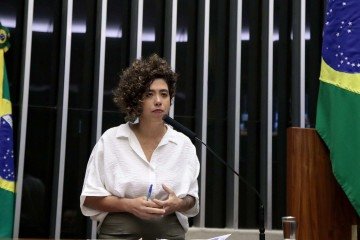 Uma das grandes preocupações de Petrone são as redes de financiamento e apoio político a esses grupos. Ela apontou ainda a necessidade de 'seguir o dinheiro' -  (crédito: Bruno Spada/Câmara dos Deputados)