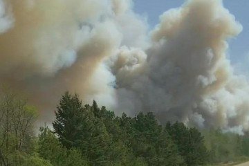 Incêndio florestal deixa mortos e força retirada de milhares de pessoas no Canadá -  (crédito: UGC/Bushman Gord / AFP)