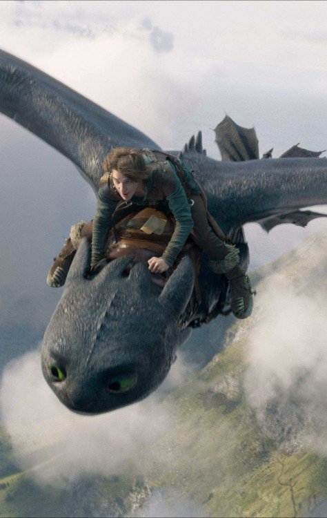  Como treinar o seu dragão: muito afeto em jogo -  (crédito:  Universal)
