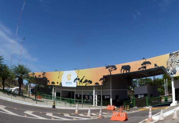 Ed Alves CB/DA Press