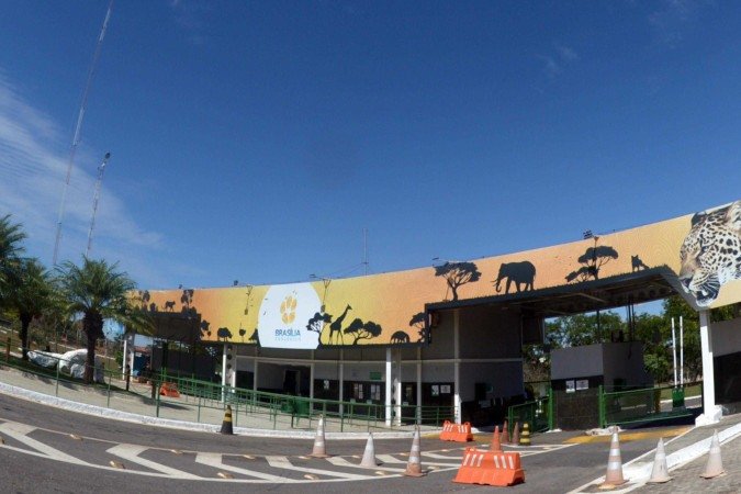 29/05/2025 - Ed Alves CB/DA Press. Cidades. Gripe aviária: Zoo fecha acessos e 8 funcionários são monitorados. - (crédito: Ed Alves CB/DA Press) 29/05/2025 - Ed Alves CB/DA Press. Cidades. Gripe aviária: Zoo fecha acessos e 8 funcionários são monitorados. - (crédito: Ed Alves CB/DA Press)