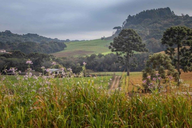 O Brasil tem diversas opções de destinos encantadores e aconchegantes para aproveitar o inverno (Imagem: lucasgamaral | Shutterstock) - (crédito: EdiCase) O Brasil tem diversas opções de destinos encantadores e aconchegantes para aproveitar o inverno (Imagem: lucasgamaral | Shutterstock) - (crédito: EdiCase)