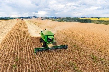 Quando se compara o primeiro trimestre de 2025, em relação ao último trimestre de 2024, a agropecuária cresceu 12,2% e isso impulsionou o avanço de 1,4% Produto Interno Bruto (PIB) no período. -  (crédito: Divulgação/Governo de Santa Catarina)