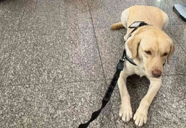 Arquivo pessoal via Estadão