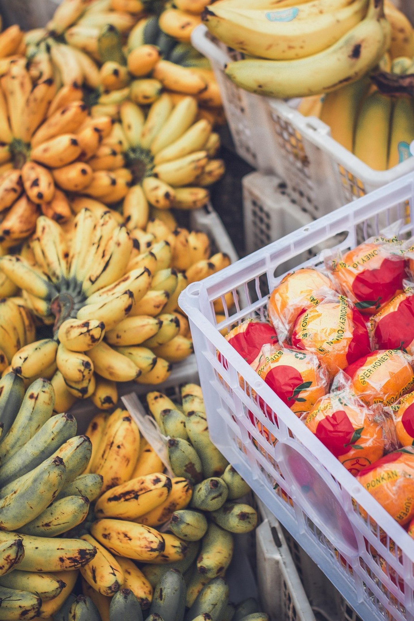 Alimentos que ajudam a aumentar a concentração