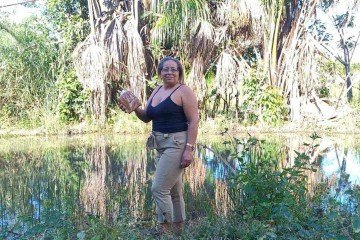 Agricultora Zenita Lopes retira da vereda preservada em seu terreno, na localidade de Paracatu, o buriti que é transformado em doce -  (crédito: Luiz Ribeiro/EM/D.A Press)