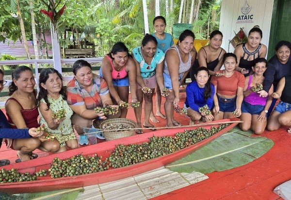 Águia Drone Imagens Aéreas/ Natura/ WEG