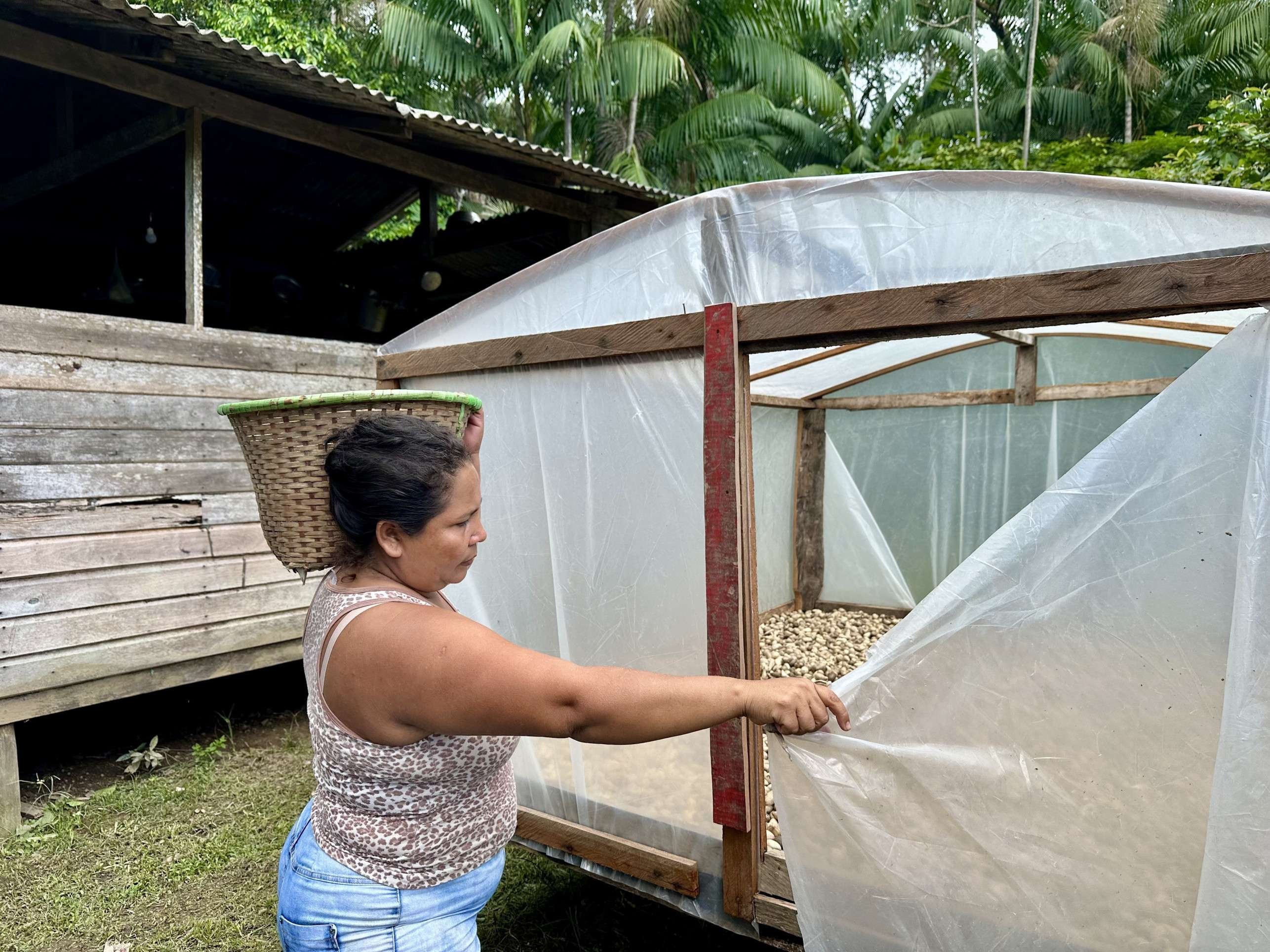 Extrativistas organizam produção na comunidade de São José do Rio Maniva, no município de Afuá (PA)