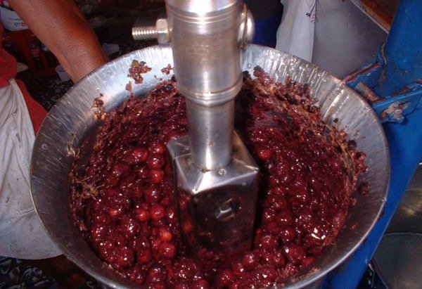 Decio Horita Yokota/Wikipedia