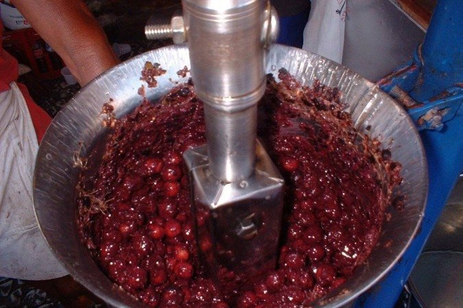 A Organização dos Estados Ibero-americanos (OEI) proibiu a comercialização de todos os tipos de açaí e outros pratos tradicionais da cultura amazônica em restaurantes oficiais na COP30, em Belém (PA) - (crédito: Decio Horita Yokota/Wikipedia) A Organização dos Estados Ibero-americanos (OEI) proibiu a comercialização de todos os tipos de açaí e outros pratos tradicionais da cultura amazônica em restaurantes oficiais na COP30, em Belém (PA) - (crédito: Decio Horita Yokota/Wikipedia)