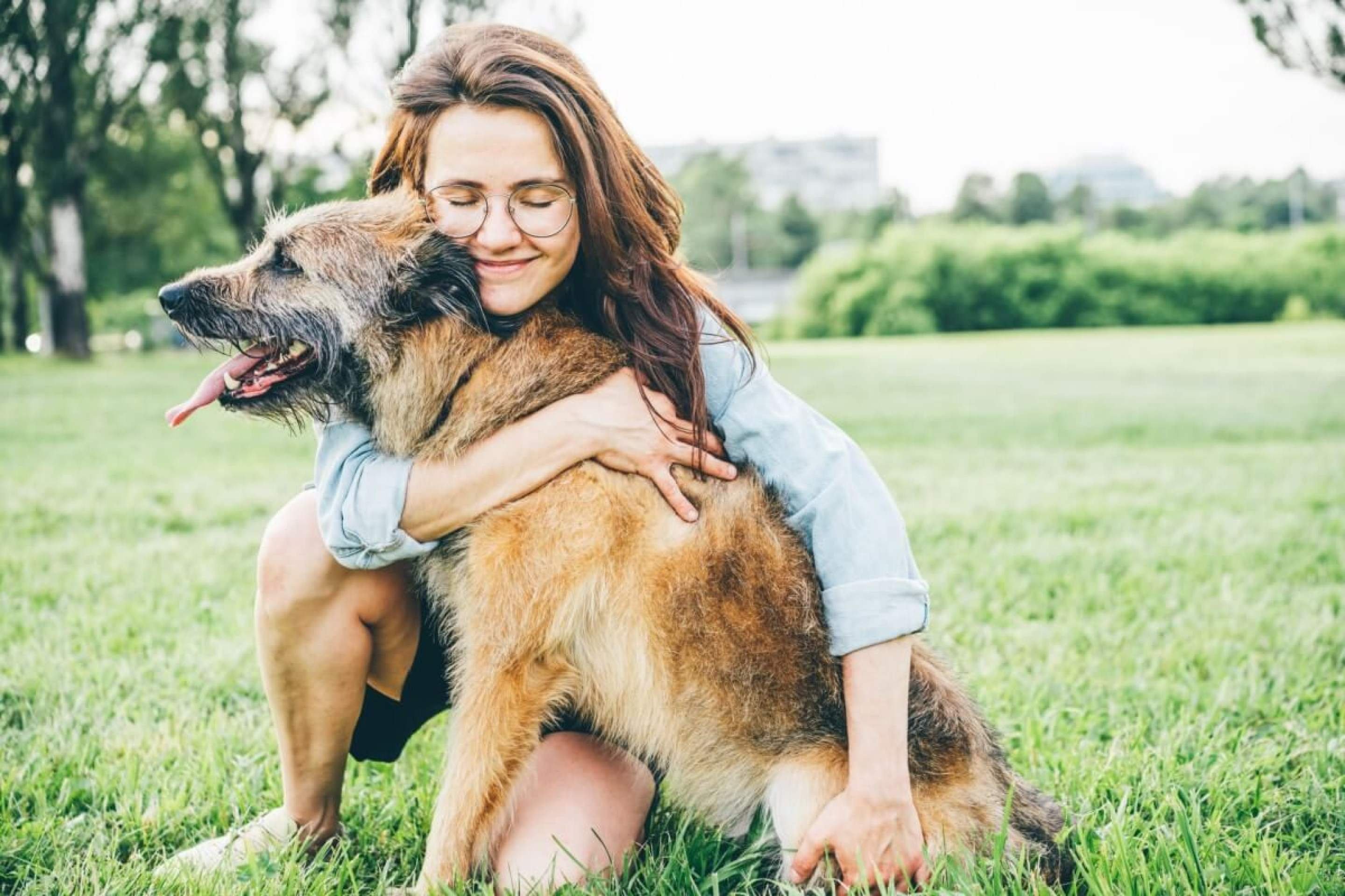 Para garantir a segurança e o bem-estar de todos, algumas atitudes durante o resgate dos animais são essenciais (Imagem: Mariia Korneeva | Shutterstock) -  (crédito: EdiCase)