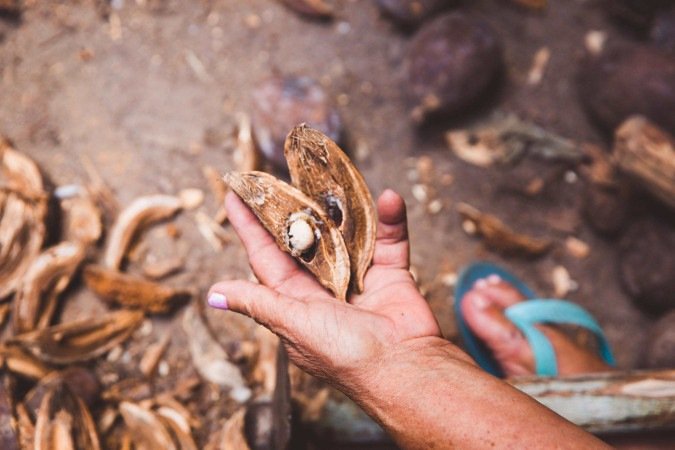 O Plano Nacional dos Povos e Comunidades Tradicionais deve ser entregue em novembro, durante a COP30 - (crédito: Reprodução) O Plano Nacional dos Povos e Comunidades Tradicionais deve ser entregue em novembro, durante a COP30 - (crédito: Reprodução)