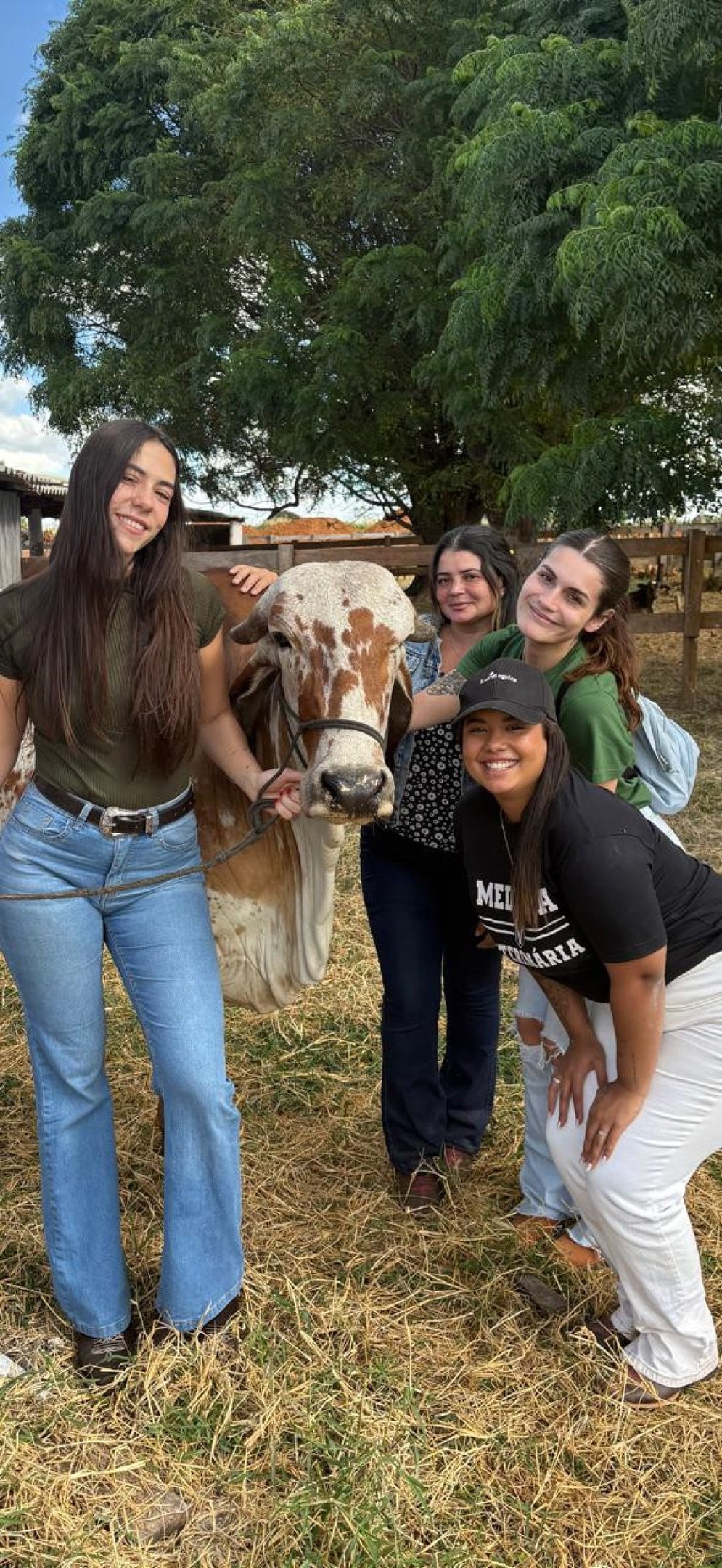 Estudantes do Curso de Medicina Veterinária do CEUB realizando atividade de campo durante a pesquisa
