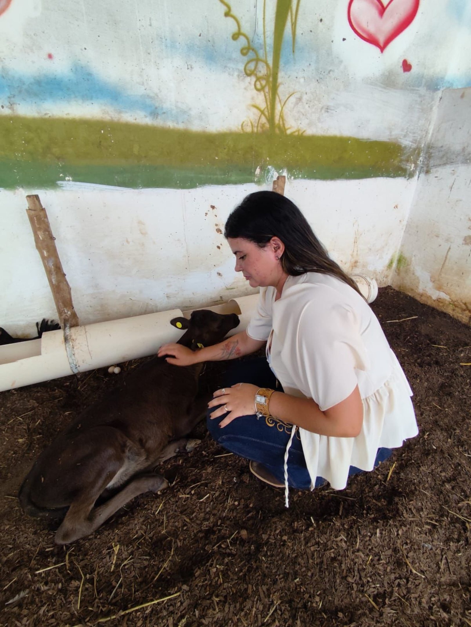 Estudantes do Curso de Medicina Veterinária do CEUB realizando atividade de campo durante a pesquisa