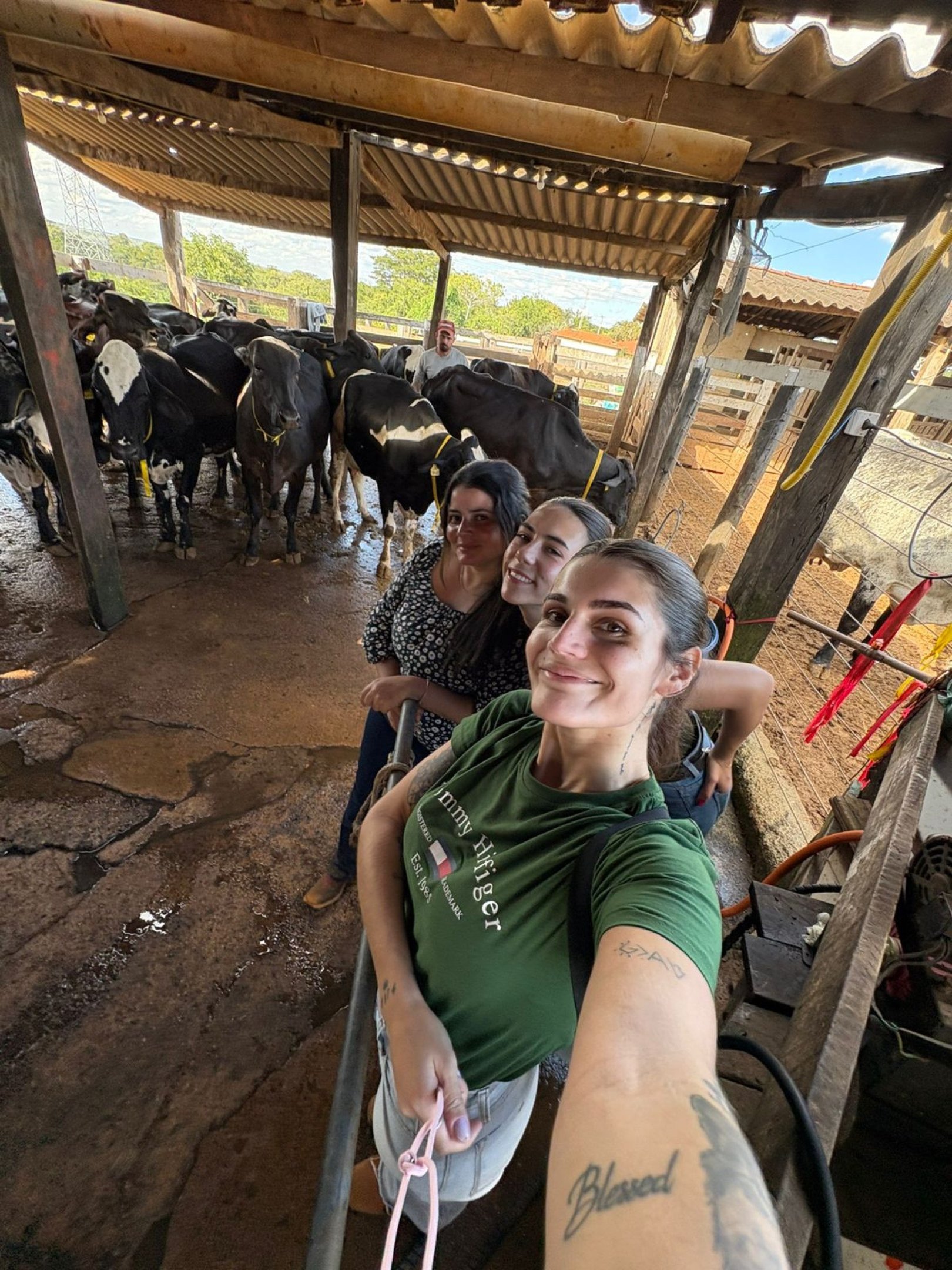 Estudantes do Curso de Medicina Veterinária do CEUB realizando atividade de campo durante a pesquisa