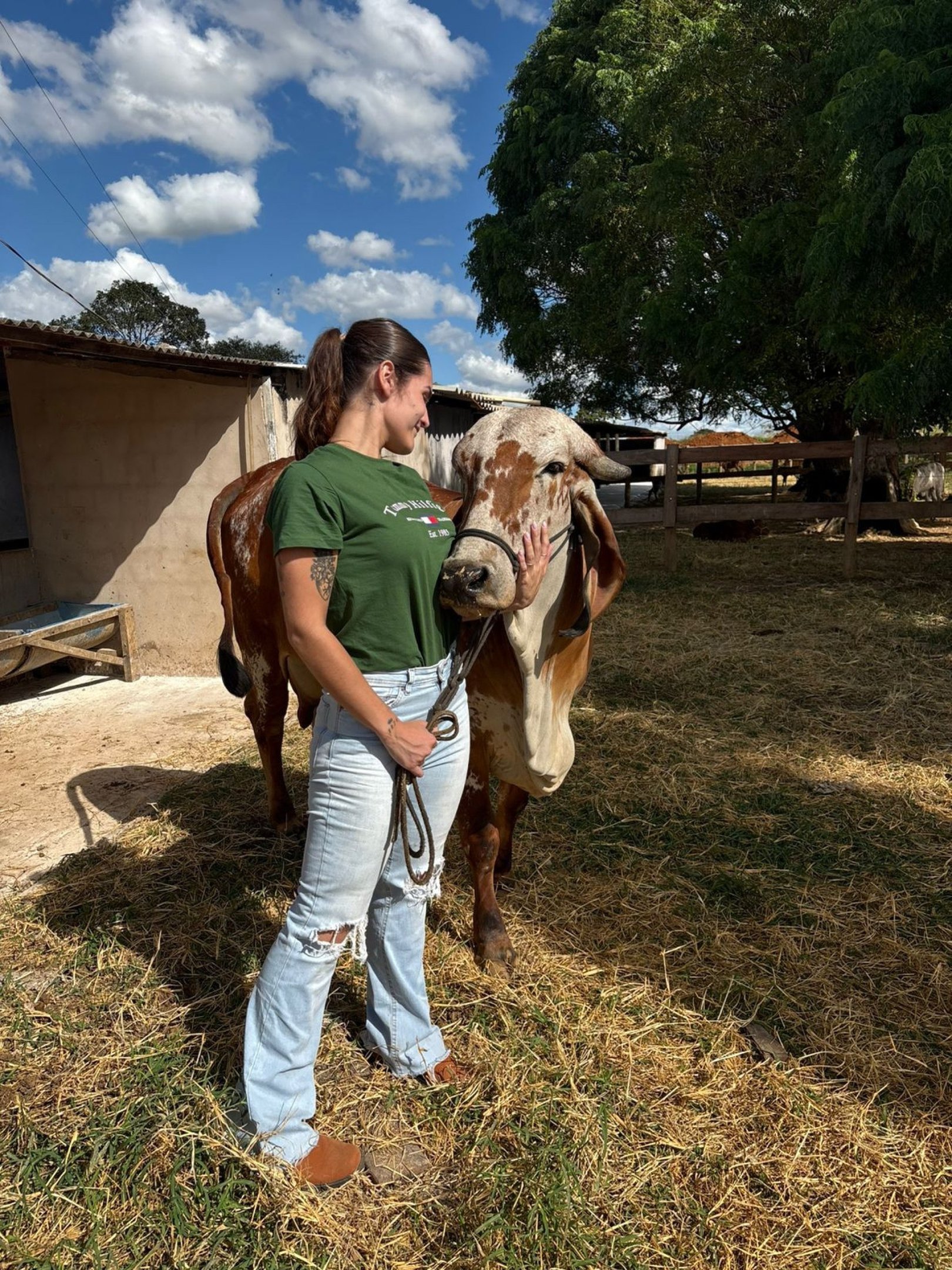 Estudantes do Curso de Medicina Veterinária do CEUB realizando atividade de campo durante a pesquisa